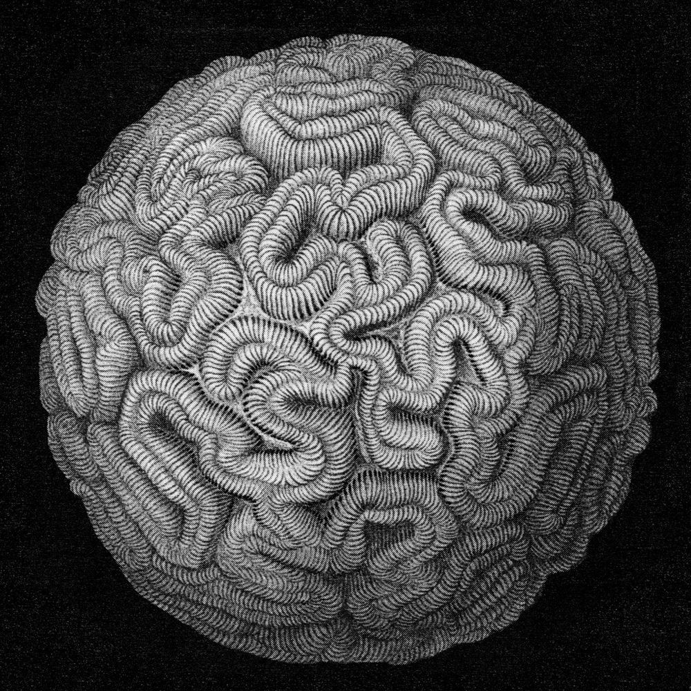 Hey Exit – Sympathetic Recesses