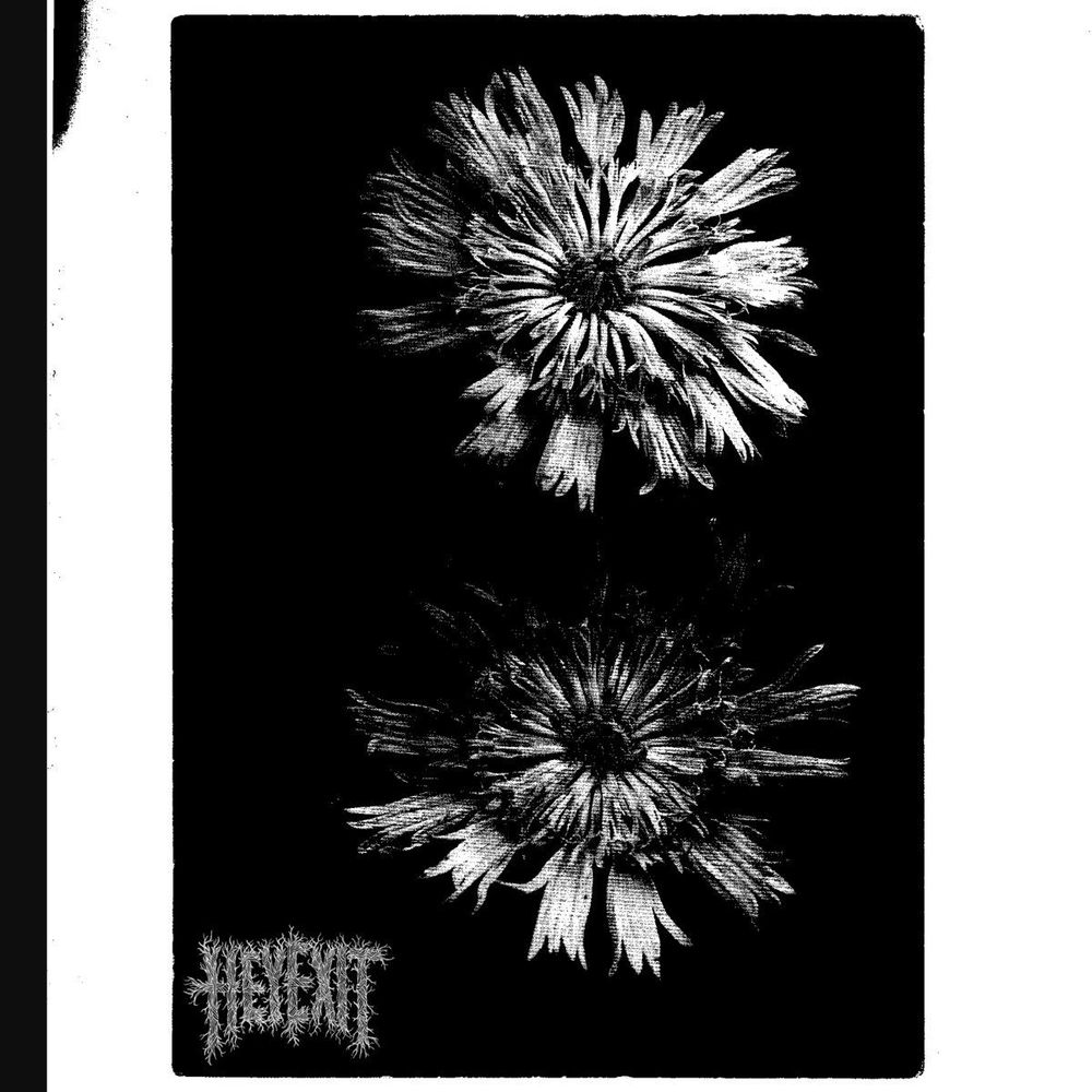 Hey Exit – Cutting Pitch (Lens 2)