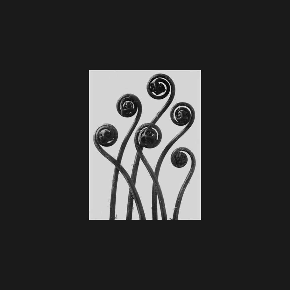 Hey Exit – Lens EP