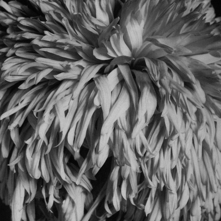 Hey Exit – Reading a Moment's Dust