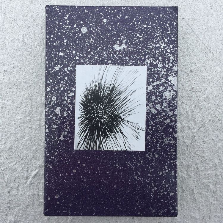 David Grollman + Hey Exit – Steve / Steve