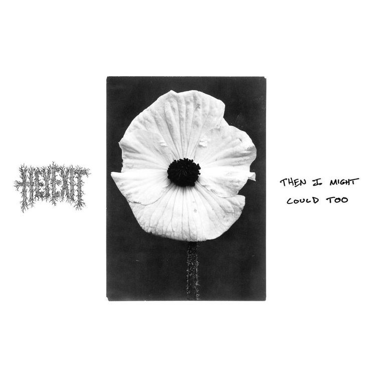 Hey Exit – Then I Might Could Too