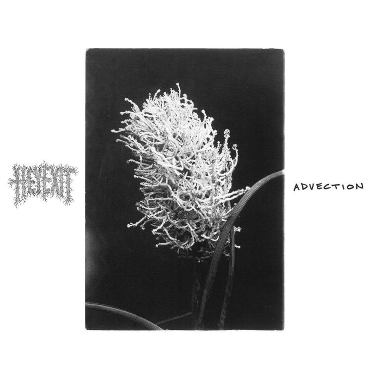 Hey Exit – Advection