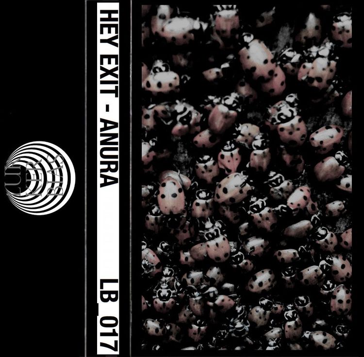 Hey Exit – Anura EP