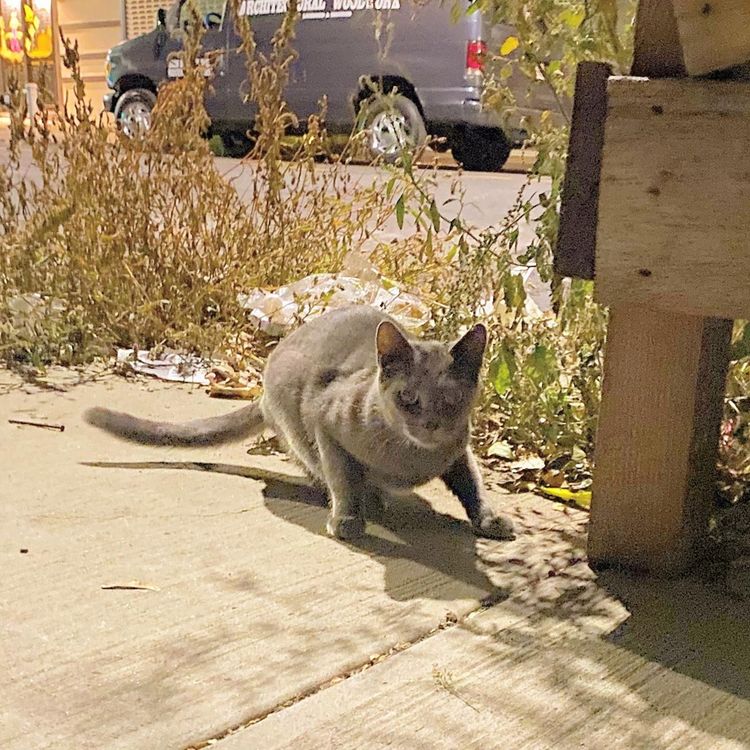 Hey Exit – October, and November