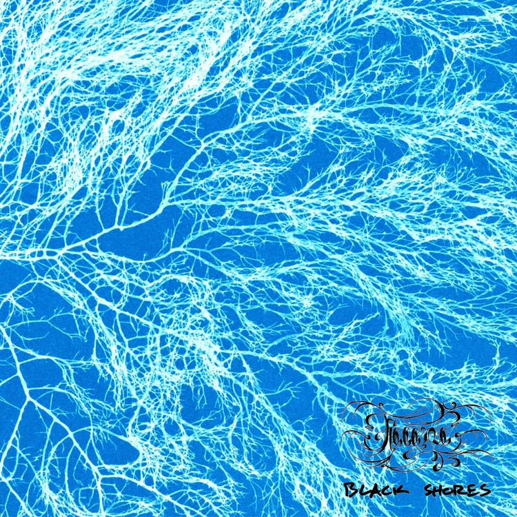 Receive – Black Shores