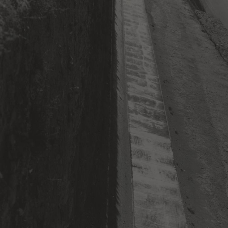 Esther Chlorine – Retiform