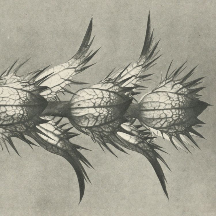 Hey Exit – It Will Be Far From Here