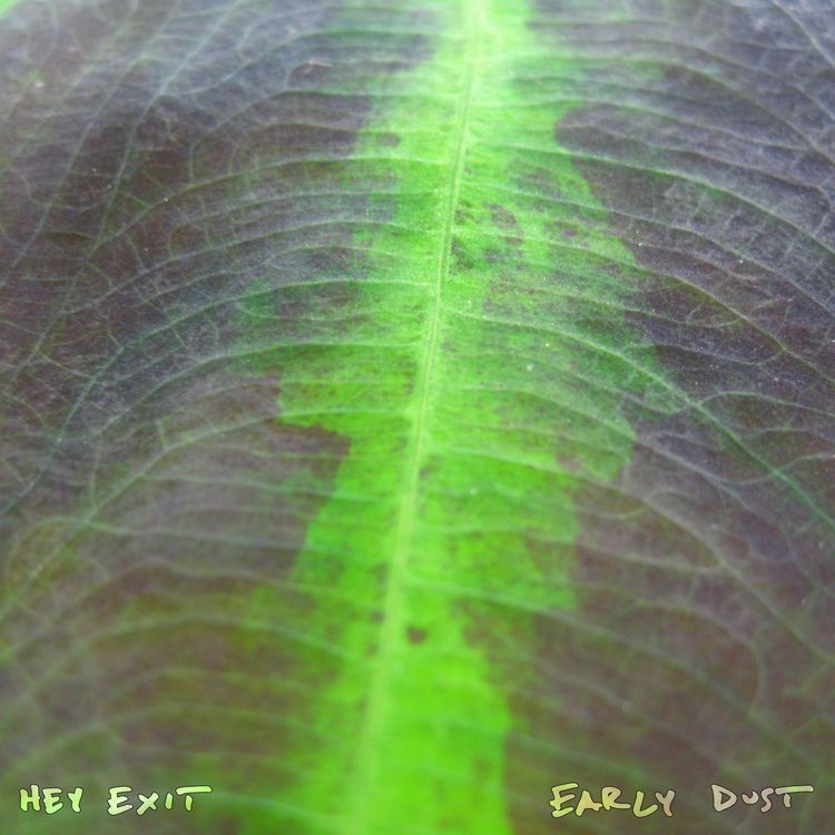 Hey Exit – Early Dust