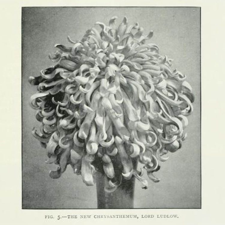 Hey Exit – A Matter of Illumination