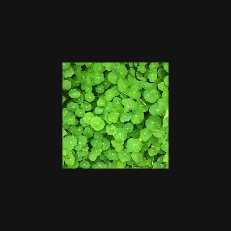 Hey Exit – Which Ones Will Be Restored